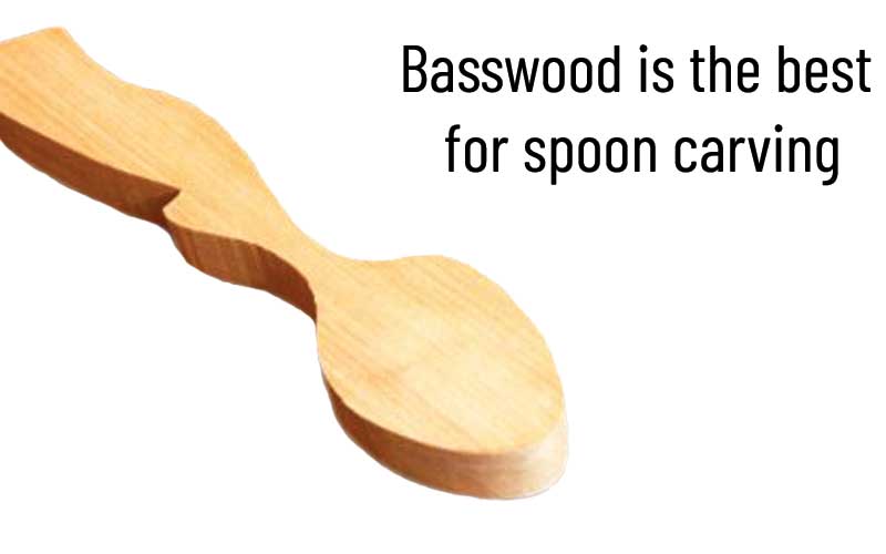 What's the best wood for carving spoon?
