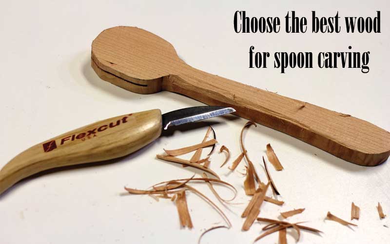 How to choose the best wood for spoon carving?