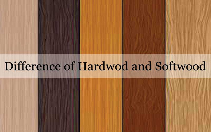 What is the difference of softwood and hardwood?