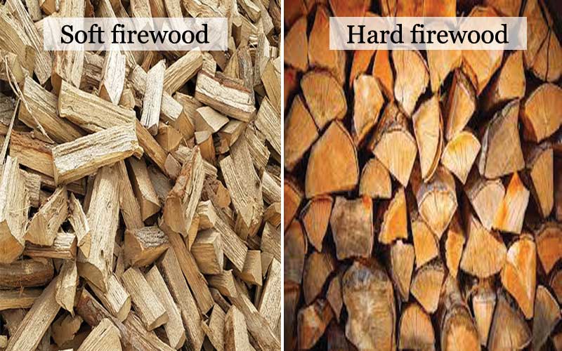 Which is the best firewood?