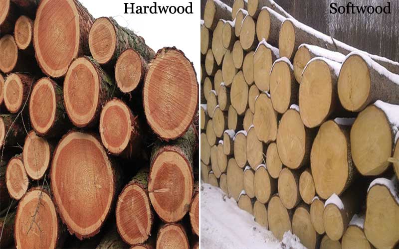 How to identify softwood and hardwood?