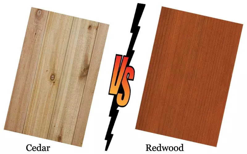Difference of Cedar and redwood.