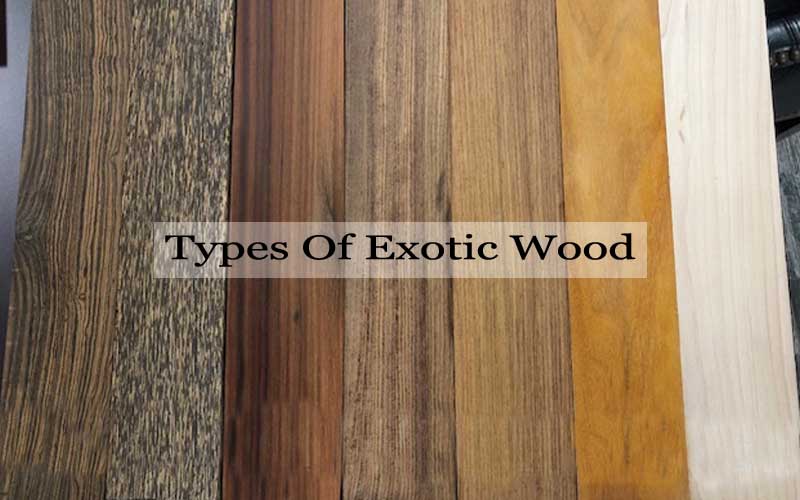 Different of exotic wood
