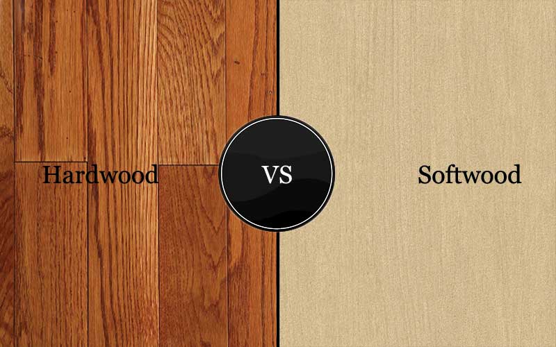 Hardwood versus softwood