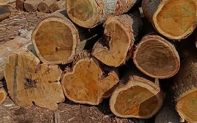 Uses For Acacia Wood